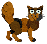 Chachke's Candied Oranges — “Puffer”