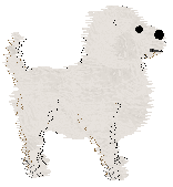 SeaGlass's Annoying Palindrome — “Toby”