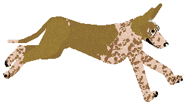 Dragosani ŚLEPNĄC OD ŚWIATEŁ — “Carramba”