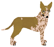 Profile image of Dragosani ŚLEPNĄC OD ŚWIATEŁ