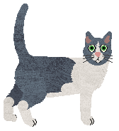 Cymophane Loss of Antioch — “Sibylla”