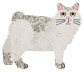 Cymophane City of Discovery — “Dundee”