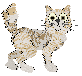 Profile image of Entwined Love's Glitter and Gold