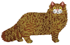 Cymophane Big Sky Country — “Joe Vandal”