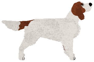 SettFever All Or Nothing — “Baila”