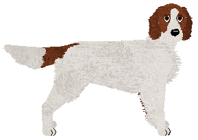 Profile image of SettFever All Or Nothing