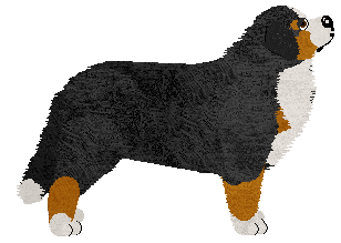 All That Jazz at Tricolor Dream — “Jazz”