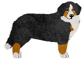 Profile image of All That Jazz at Tricolor Dream