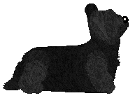 Energizing Slow Night, So Long — “Speedy”