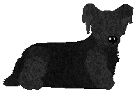 Profile image of Energizing Slow Night, So Long