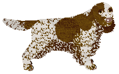 Profile image of Energizing Seeking Dreams