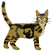 Profile image of Loveshack Pani Detektyw