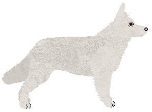 OKATERM Darsten — “Okaterm”