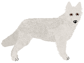 Profile image of OKATERM Darsten