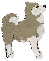 Cargo's Arctic Circle of UKP — “Winner”