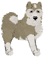 Cargo's Arctic Circle of UKP — “Winner”