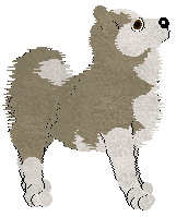 Cargo's Never Getting It — “Vivitar”