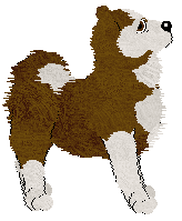 Cargo's Next Generation — “Drake”