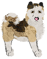 Cargo's Gold Rush — “Denali”