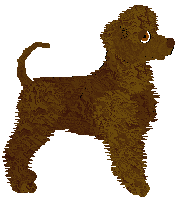 Uplands Rolling Green Hills — “Maeve”