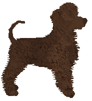 Uplands A Ship Called Rumour — “Darragh”