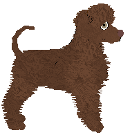 Uplands A Question of Faith — “Aoife”