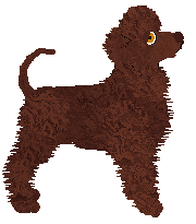 Uplands False Gods — “Cillian”