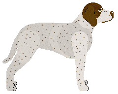 Uplands Everchosen — “Marie”