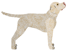 Uplands Lantern's Light — “Margot”