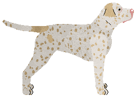 Uplands Burden of Loyalty — “Armand”