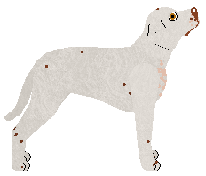 Uplands Shattersong — “Yvette”