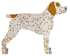 Uplands Into Exile — “Hugo”