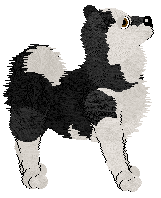 Cargo's Winter Steel — “Steelia”