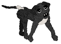 Profile image of Medusa's Most Wanted