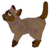 Profile image of Cargo's Heartwood