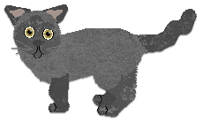 Profile image of Cargo's Great Exhibition