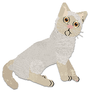 Profile image of Cargo's A Discovery of Ice Cream