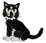 Profile image of Frogbowl She's A Turtle