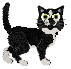 Frogbowl She's A Turtle — “Myrtle”