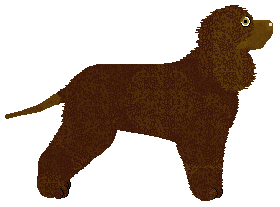 Converse KINDA BUSY — “KindaBusy”