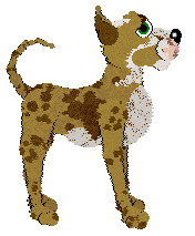 Witz' A Glimpse of Greatness at Medusa — “Glean”