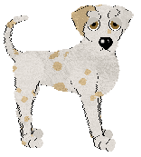 Eli's Butter My Biscuit at Confetti — “Biscuit”