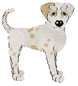 Eli's Butter My Biscuit at Confetti — “Biscuit”