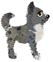 Profile image of Vanillabel's Runway on Fire