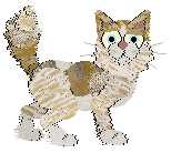 Mazzew's 'Twas at Midnight at Medusa — “Jeremy”