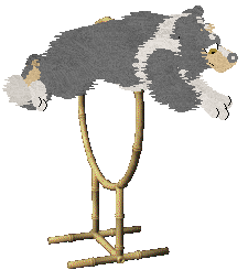 Come Bye's Lost In Translation — “Vicki”