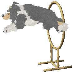 Come Bye's Lost In Translation — “Vicki”