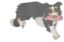 Come Bye's Lost In Translation — “Vicki”