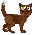 Profile image of Mako's Elegance and Grace