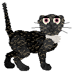 PA's On The Prowl — “Prowl”